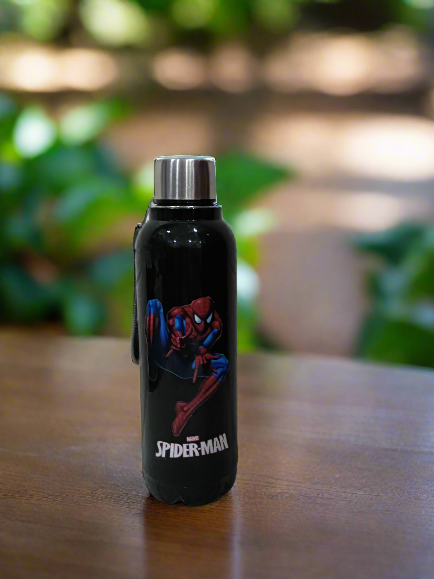 Insulated Bottles
