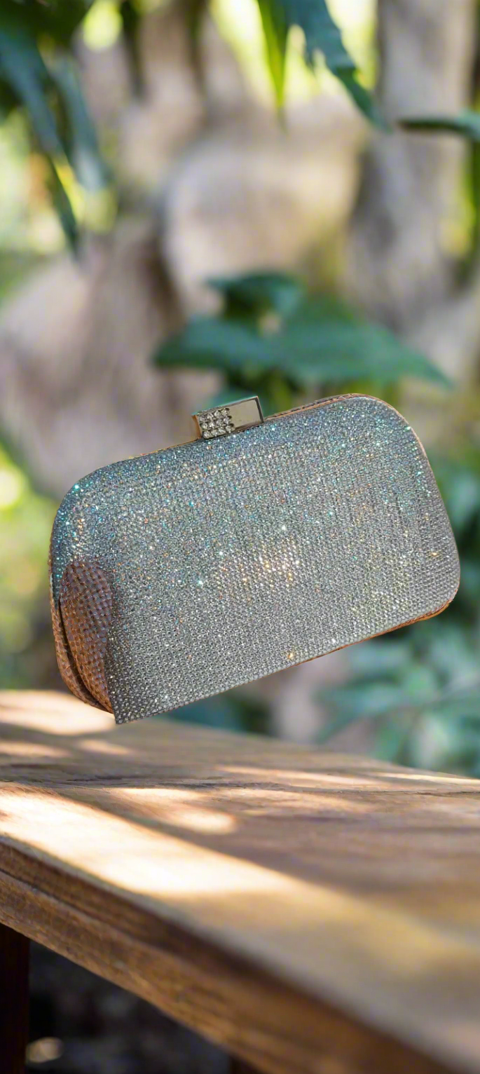 Silver Clutch Bag
