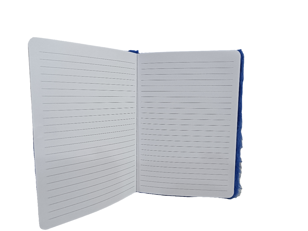 Space Fur Diary for Kids