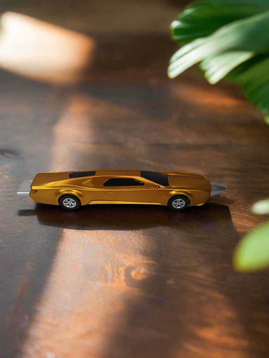 Car Pen