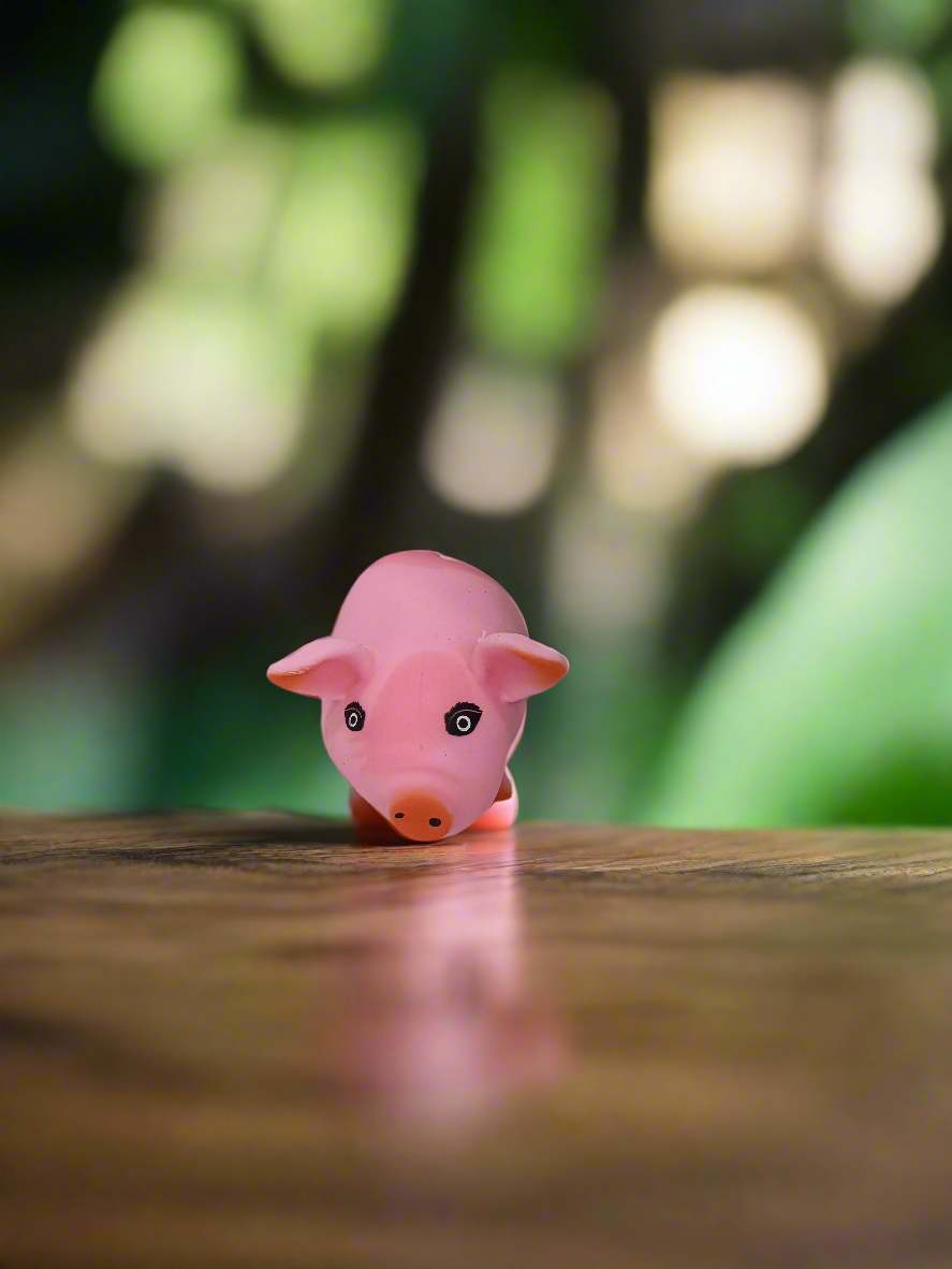 Pig Squishy