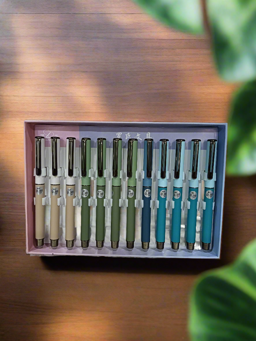 Erasable Fountain Pen