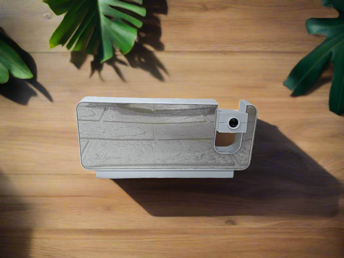 Projector Clock