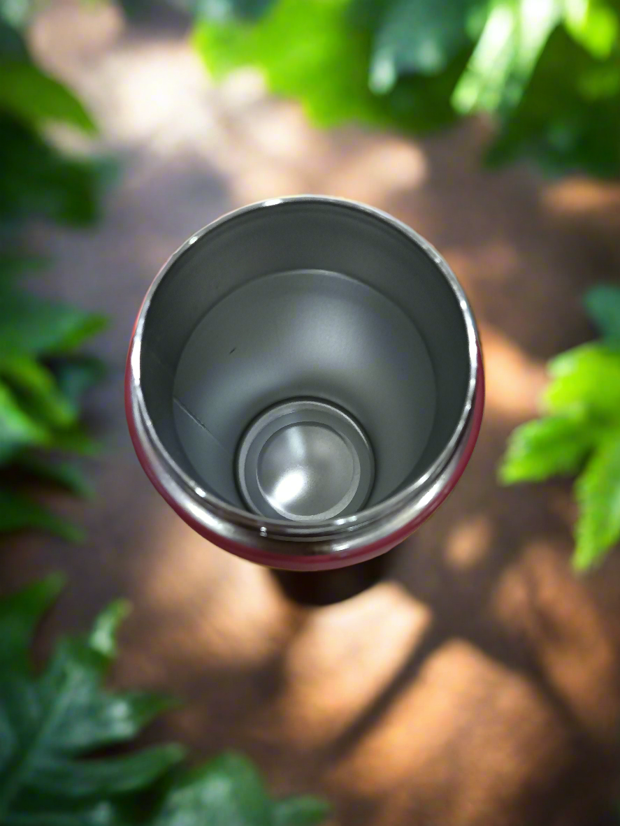 Insulated Bottle