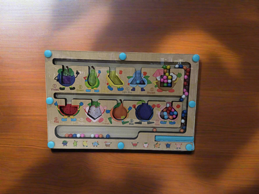 Wooden Magnetic Maze