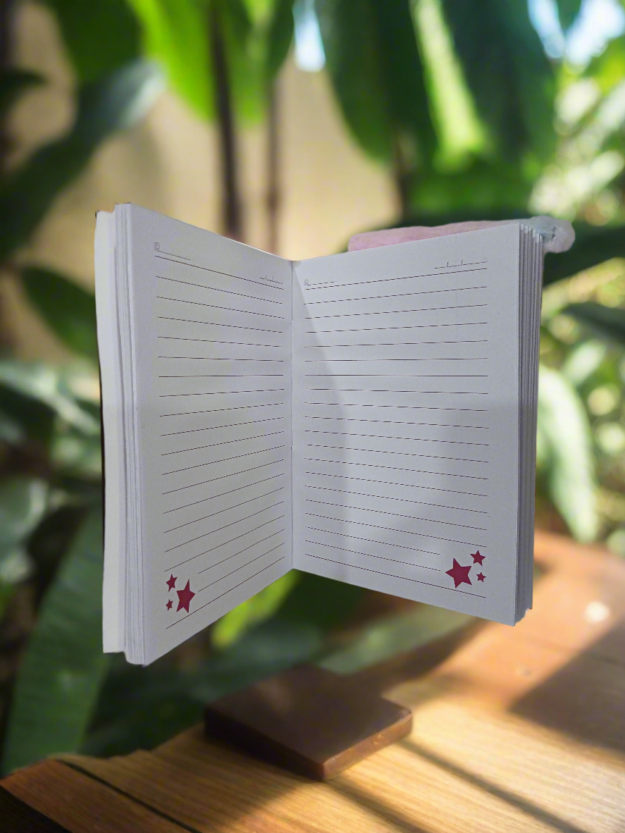 Labubu Furr Diary