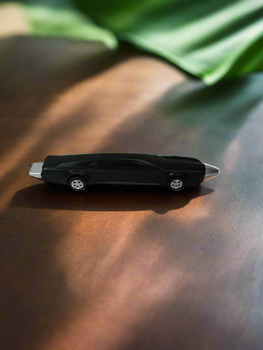 Car Pen