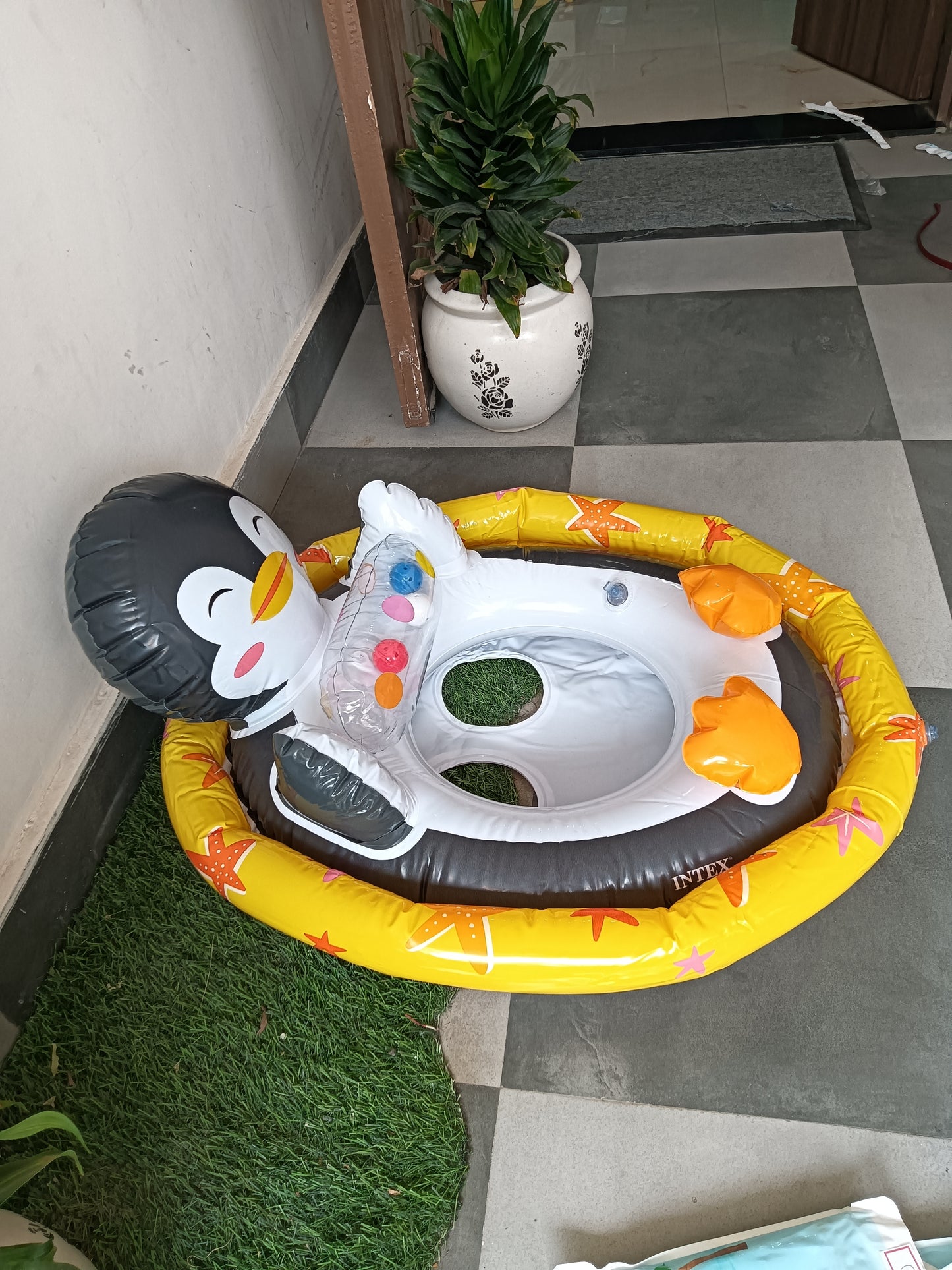 Penguin Swimming tube