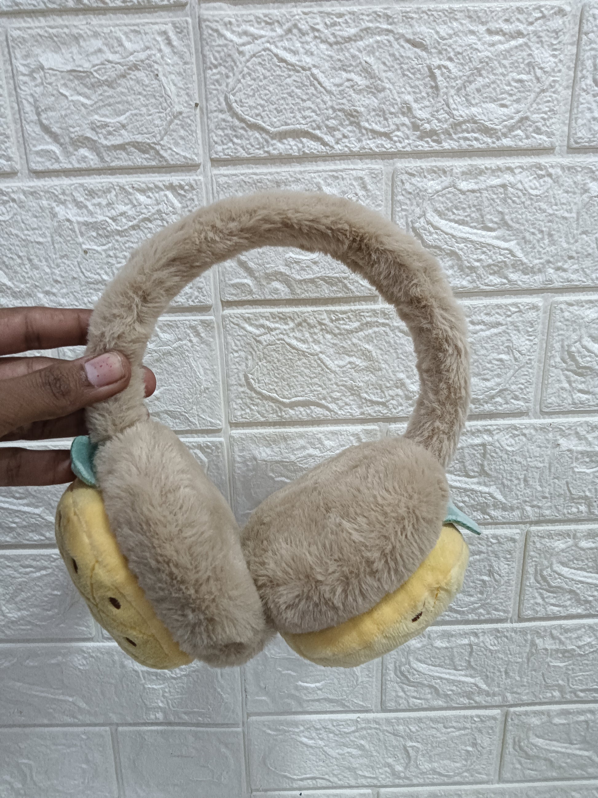 Cute Earmuffs for Kids