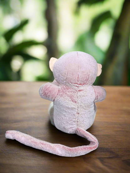 Monkey Soft Toy