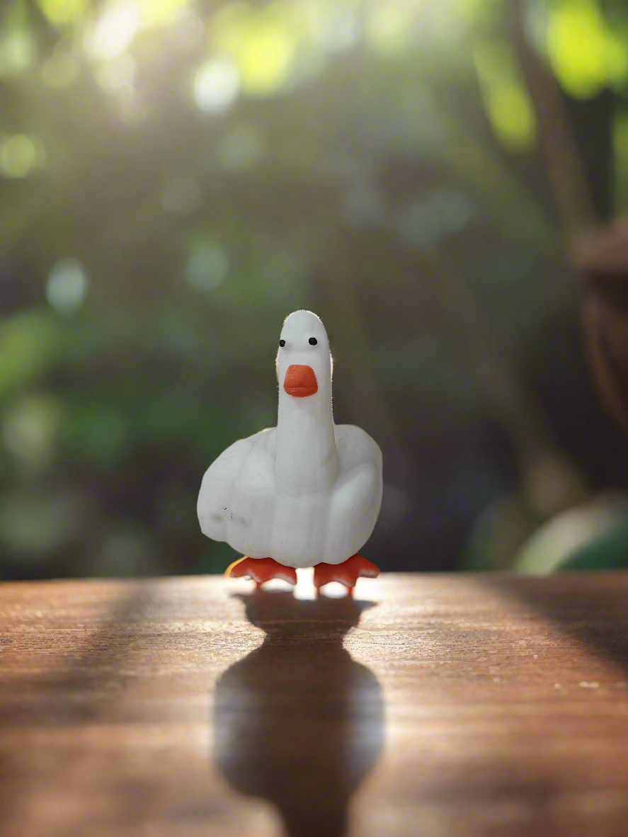 Duck Squishy Toy