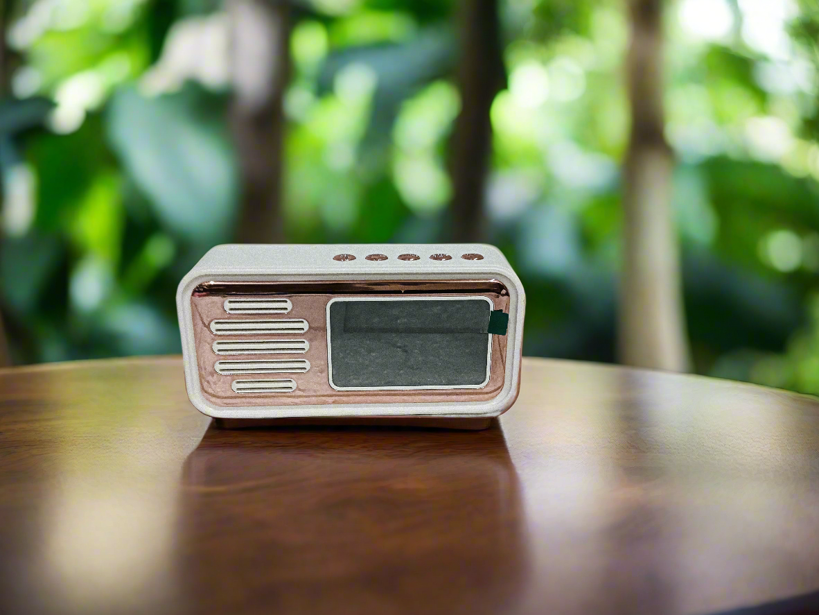 Digital Speaker