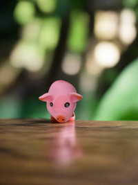 Pig Squishy