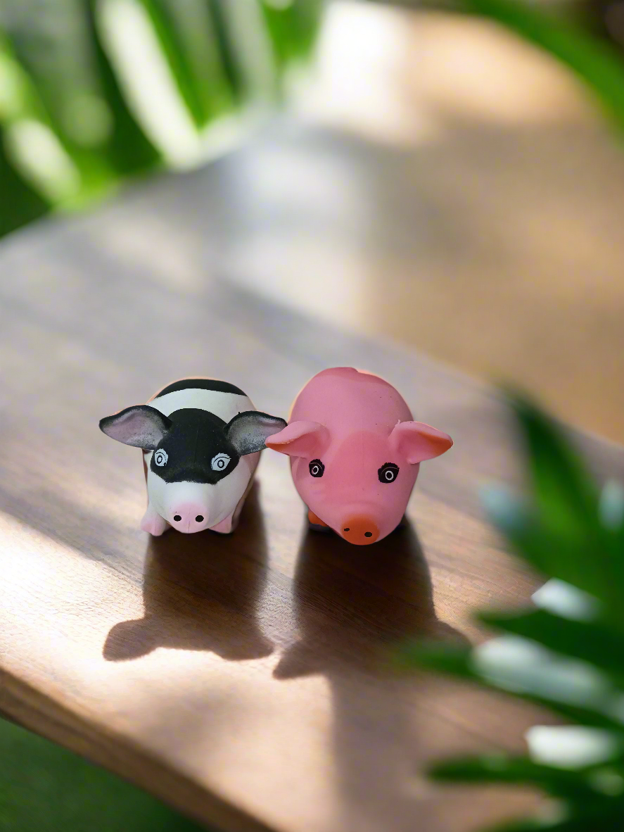 Pig Squishy