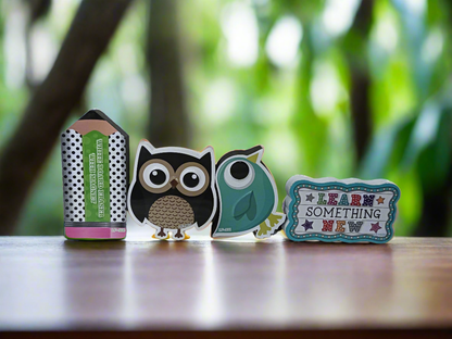 Magnetic White Board Duster