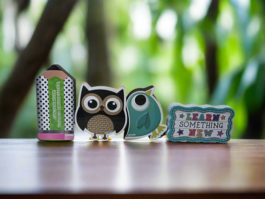 Magnetic White Board Duster