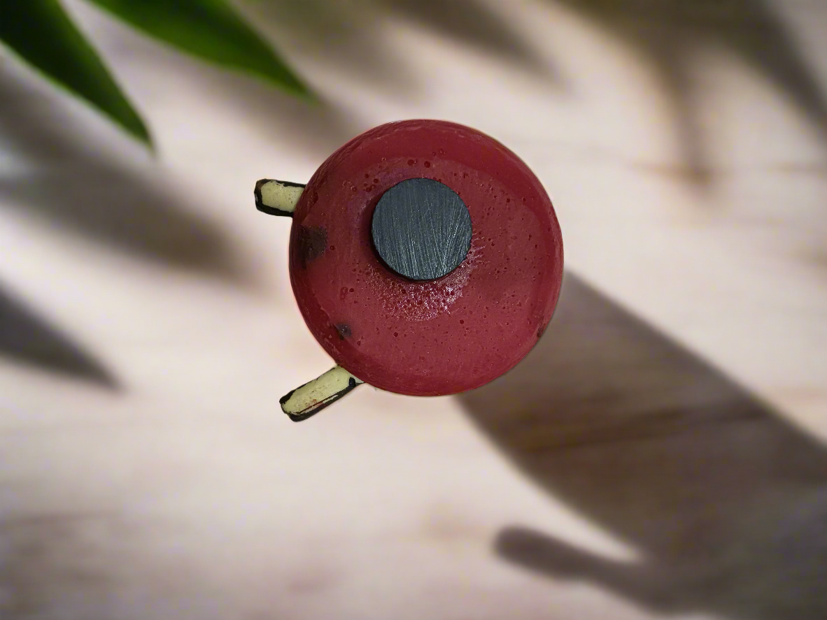 Kulfi Magnet