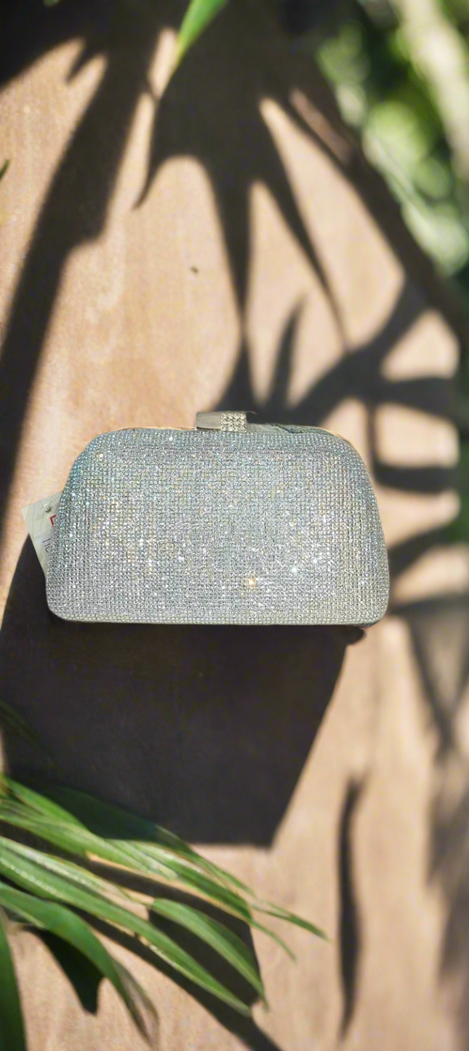 Silver Clutch Bag