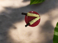 Kulfi Magnet
