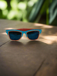 Sunglass