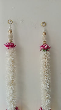 Hanging Pair