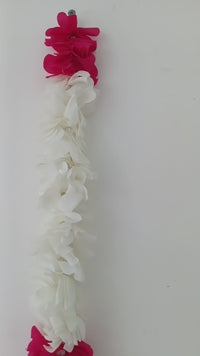 Hanging Pair (60 inches)