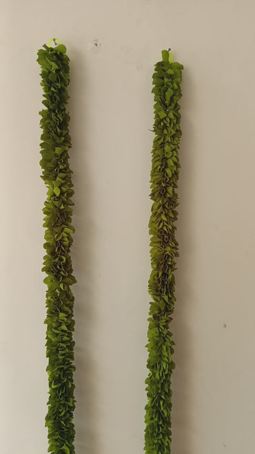 Hanging Pair