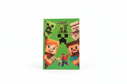 Minecraft Slim Diary