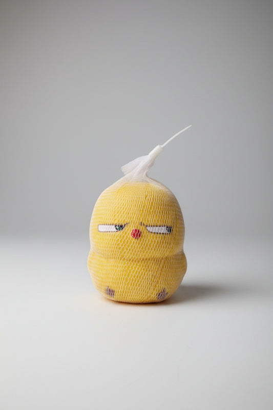 Cute Duck Squishy Mesh Toy | Stress Relief Squeeze Toy