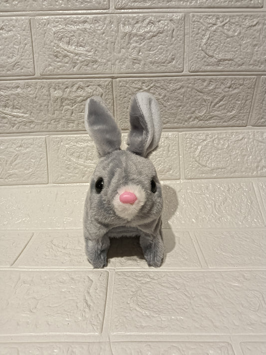 Musical Rabbit Toy