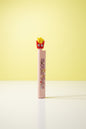 Food theme Ruler Pen