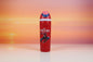 Insulated Bottle