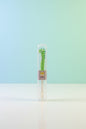 Dino ToothBrush