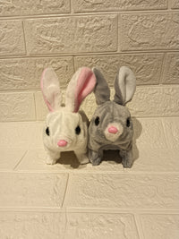 Musical Rabbit Toy