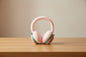 Cute Earmuffs for Kids