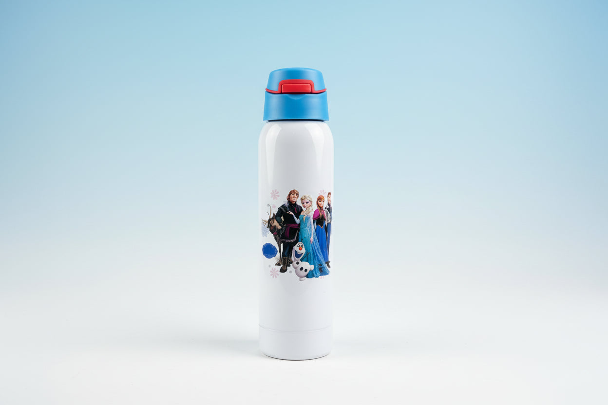 Stainless Steel Bottle - 500ml