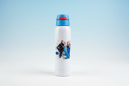 Stainless Steel Bottle - 500ml