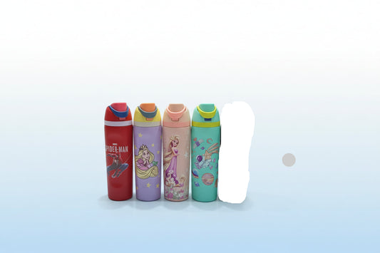 Insulated Bottle