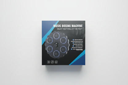 Boxing Toy with Music