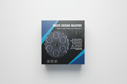 Boxing Toy with Music