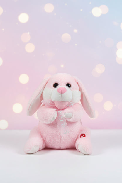 Rabbit Talking and musical Toy