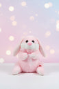 Rabbit Talking and musical Toy