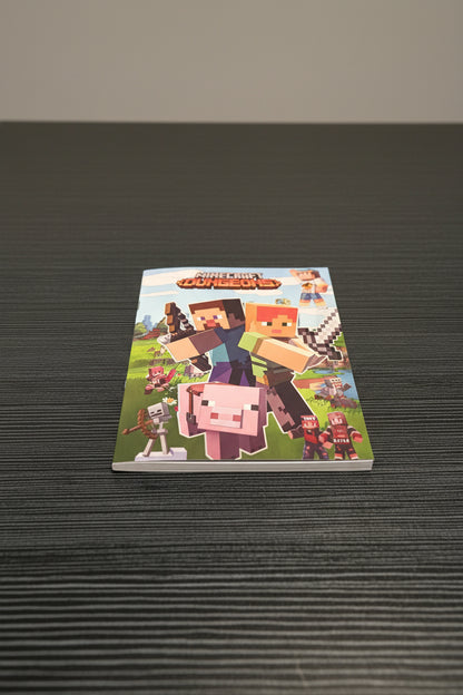 Minecraft Slim Diary