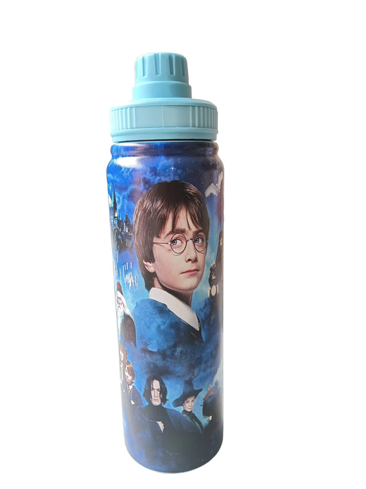 Cute Fantasy Character Insulated Stainless Steel Water Bottle | School & Travel Flask - 800 ml